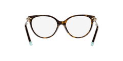 Tiffany & Co - TF2217 8015 53 - Havana - Óculos de Grau