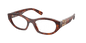 Miu Miu - MU 03WV 21C1O53 -  Havana Mahogany - Óculos de Grau