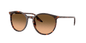 Ray ban - RB2204 14293B54 - Óculos de Sol