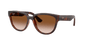 Ray ban - RB4463L 710/1356 - Óculos de Sol