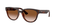 Ray ban - RB4463L 710/1356 - Óculos de Sol